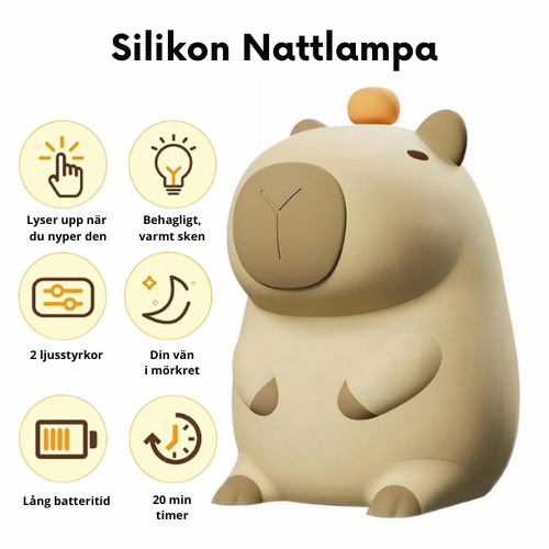 Silikon Nattlampa