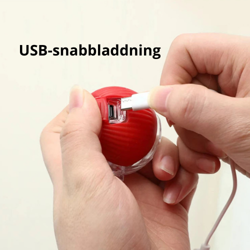 Interaktiv Boll med Rep