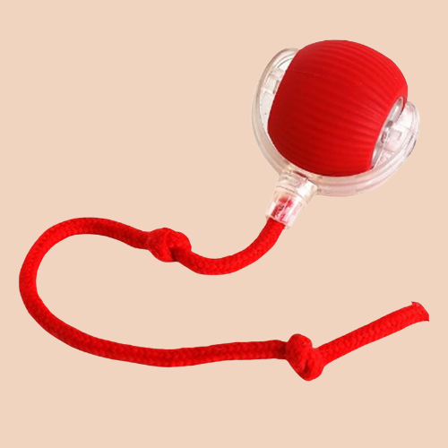 Interaktiv Boll med Rep