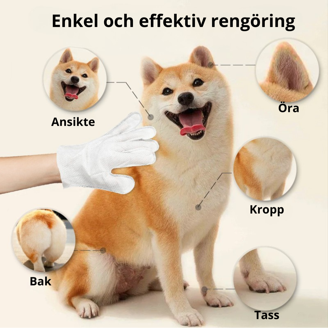 Rengöringshandskar för katt & hund